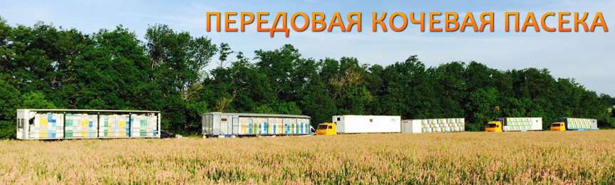 Какие специалисты могут найти для себя pro bono проекты на онлайн платформе пасека